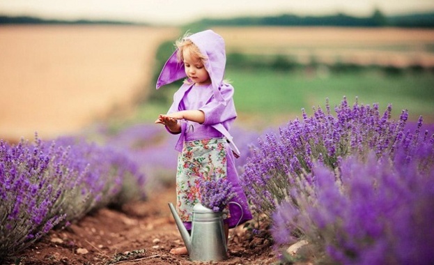 На Еньовден 24 юни в гр Карлово ще бъде отбелязано