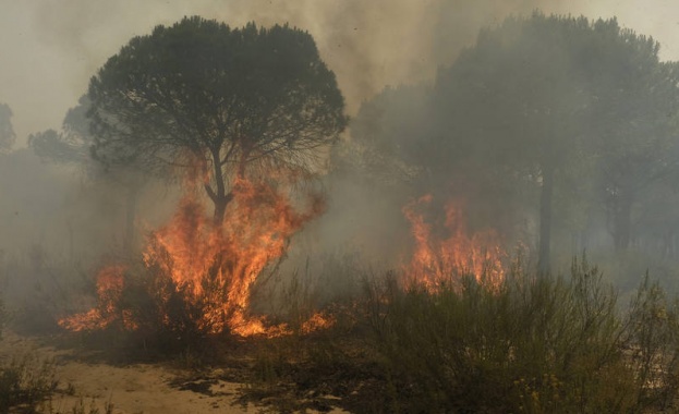 Над 2000 души бяха евакуирани в Южна Испания заради горски