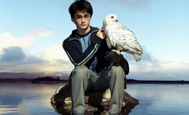 Броят на совите търгувани незаконно на индонезийските пазари нарасна рязко