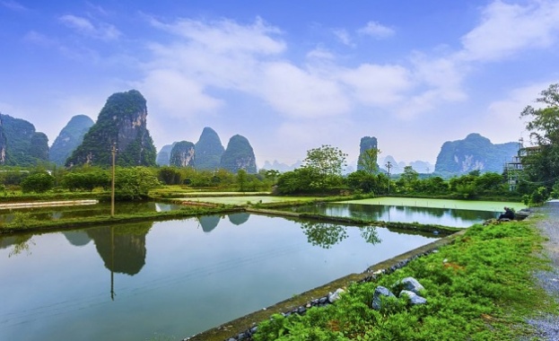 Строежът на първия град гора в света започна близо до