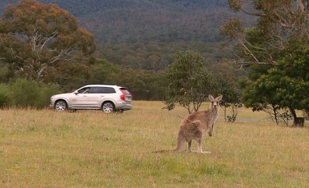 Шведският автомобилен е Volvo откри сериозен проблем с технологията Large