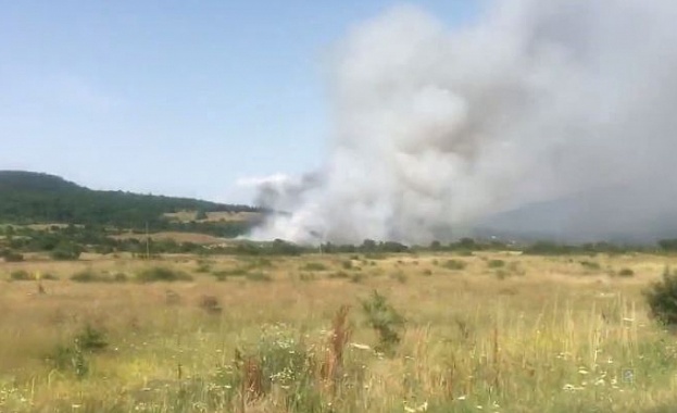 Ден след като стана тежката верижна катастрофа на автомагистрала Хемус