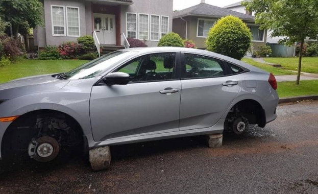 България е страна в която се срещат много любители на