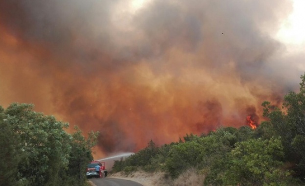 Министерството на вътрешните работи на Черна гора поиска международна помощ