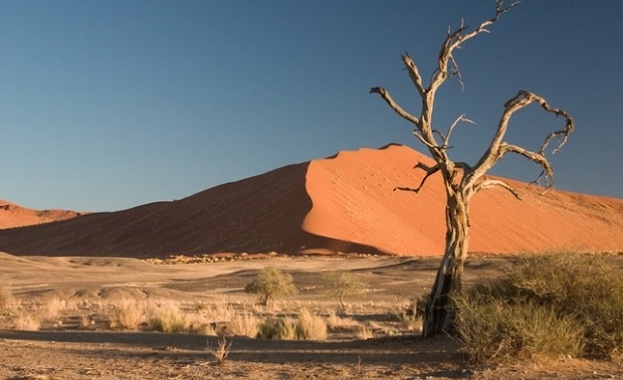 Първата половина на 2017 г е втората най гореща регистрирана