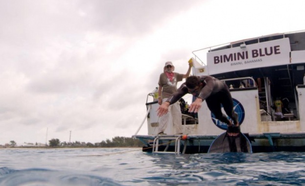 Дори и най великият олимпийски шампион на всички времена не