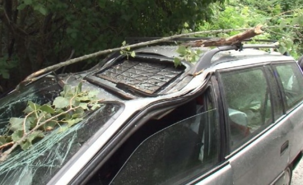 Топола се стовари върху кола край село Самоводене във Великотърновско