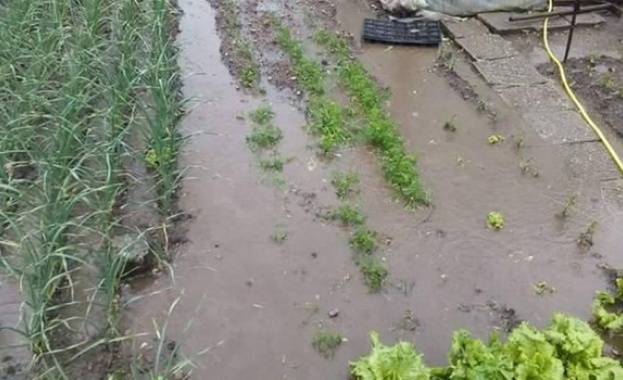 Пороен дъжд и градушка унищожиха реколтата в района на Кирково