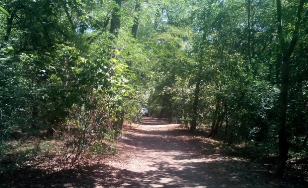 Извършителите на три големи нападения у нас все още неразкрити