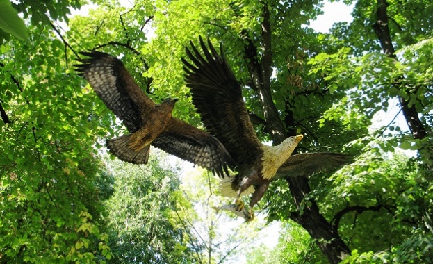 Жителите и гостите на Бургас ще могат от 1 август