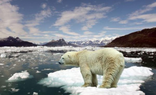 Има 5 шанс да се ограничи средното глобално затопляне под