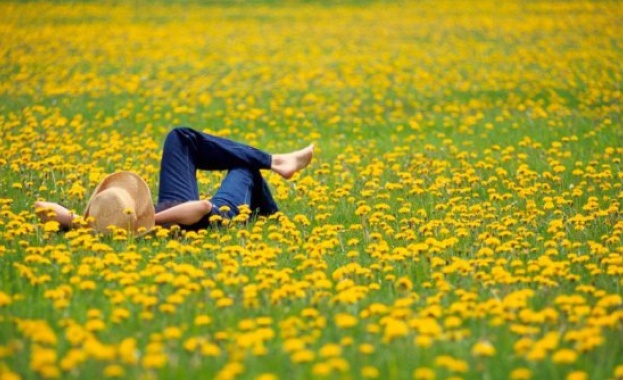 Днес е Световният ден на мързела Говори се че той