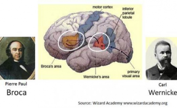 Ежегодно 13 август е посветен на хората които предпочитат да