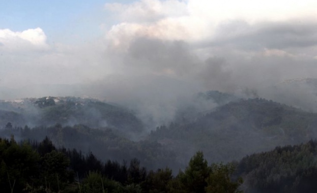 По официални данни на Службата за пожарна безопасност на Гърция