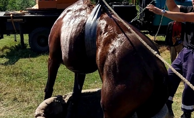 Покрай постоянно бушуващите пожари в страната огнеборците имат и някои