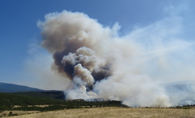 Пожарът в Кресненското дефиле е локализиран от две страни продължаваме