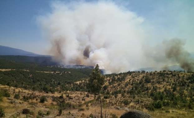 Голям пожар бушува в източната част на Кресненското дефиле близо