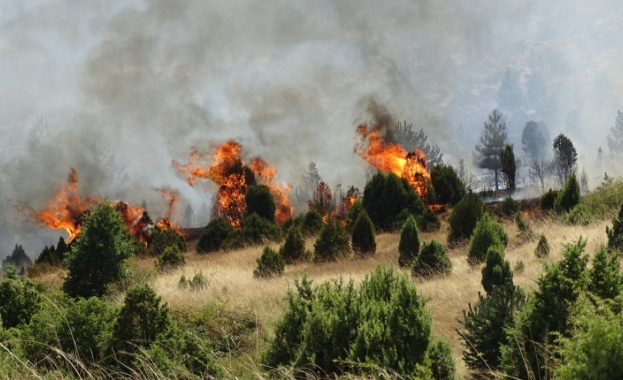 500 души пожарникари военни доброволци два хеликоптера четири водоноски и
