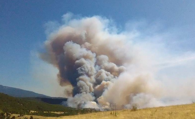 Голям пожар бушува в източната част на Кресненското дефиле близо