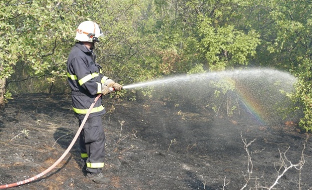 Ограничен е пожарът в землището на хасковските села Съставът, който