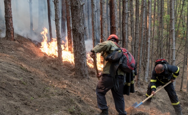 Огънят край Кресненското дефиле вече е обхванал над 15 000