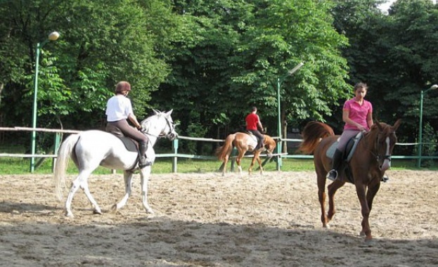 Проект за преместване на конната база от Борисовата градина в