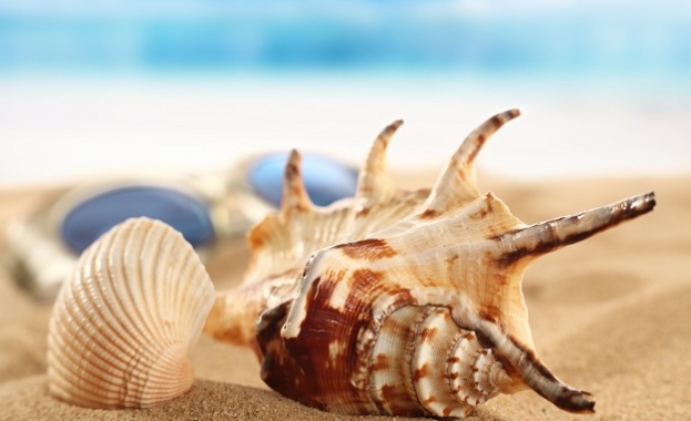 Южнокорейци японци и китайци са сред най големите ценители на