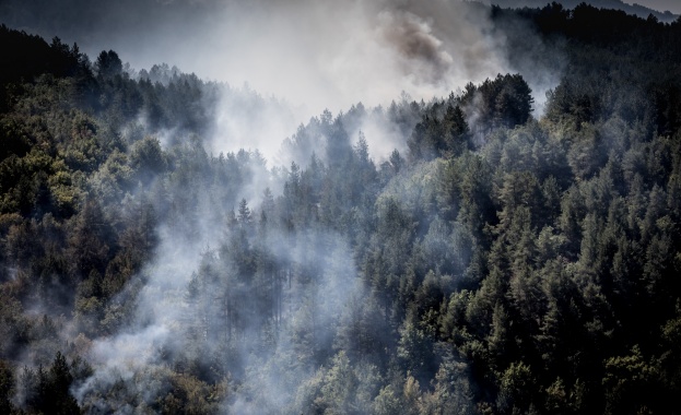 Закрива се кризисният щаб в Кресна Пожарите вече са овладени