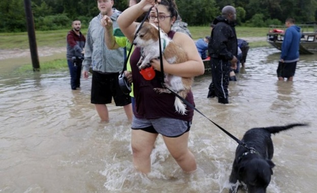 По информация на Държавния департамент на Съединените американски щати САЩ