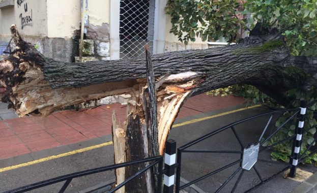 Шест общини от Врачанска област останаха без ток заради силната