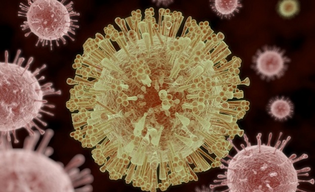 Американски учени установиха че вирусът Зика може да убива раковите