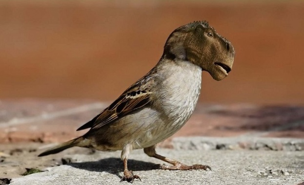 Драматичният преход от динозаври към птици който се е случил