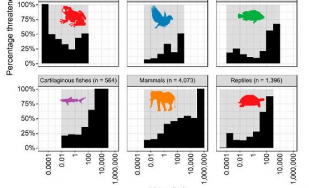 Изследователи определят телесното тегло на хиляди видове гръбначни животни Изводите