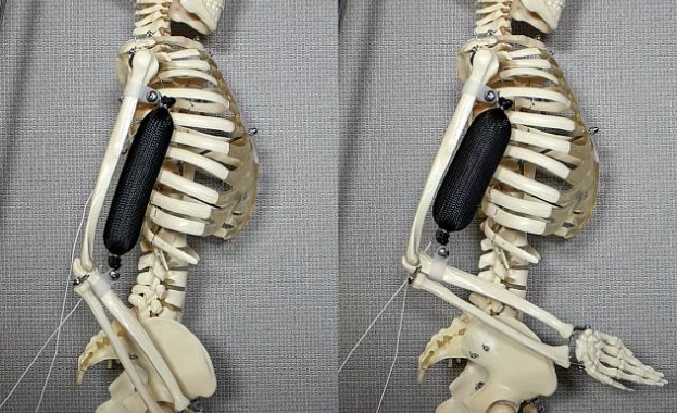 Американски учени създадоха изкуствен мускул който вдига 1000 пъти по