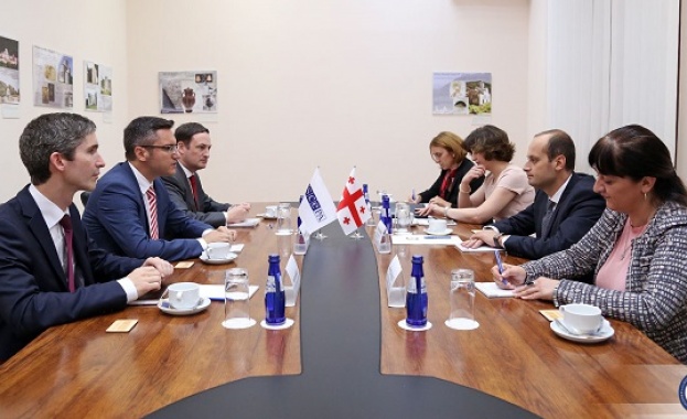 По време на визитата в Грузия специалният представител на Парламентарната