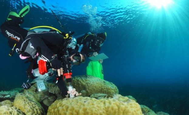 Изследователи са наблюдавали признаци на нов живот в някои от