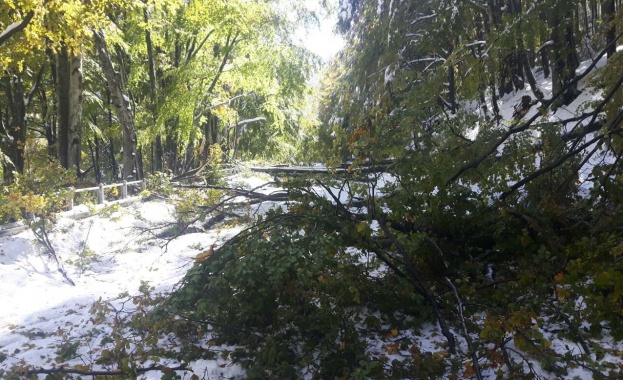 Пътната отсечка от село Гинци до билото на Петрохан е