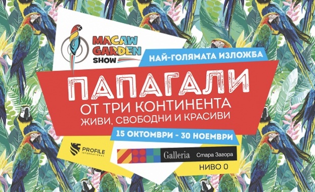 От 15 ти юли 2017 до 15 ти ноември 2017 в