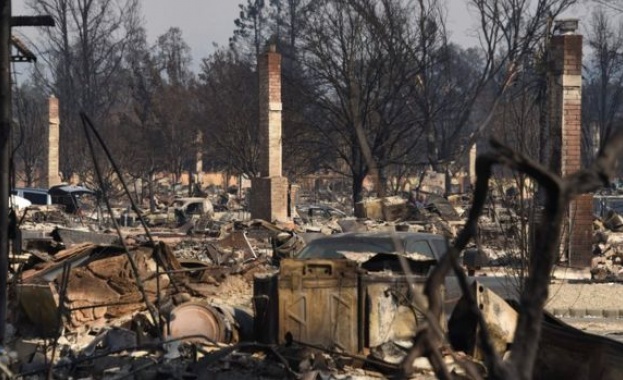 Рекорден e броят жертви които взеха големите горски пожари в