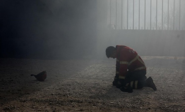 Броят на жертвите на горските пожари, бушуващи в Португалия от