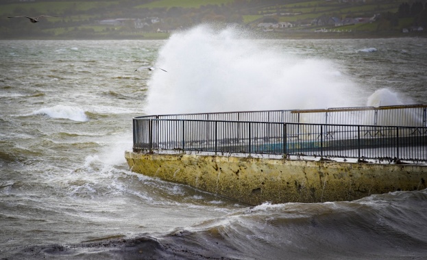 Тропическата буря Офелия връхлетя южното крайбрежие на Ирландия повали дървета