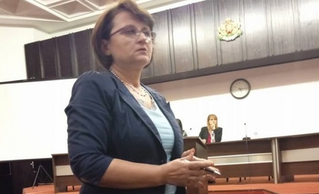 Теодора Халачева Наложително е изцяло ново законодателство в частта Детско