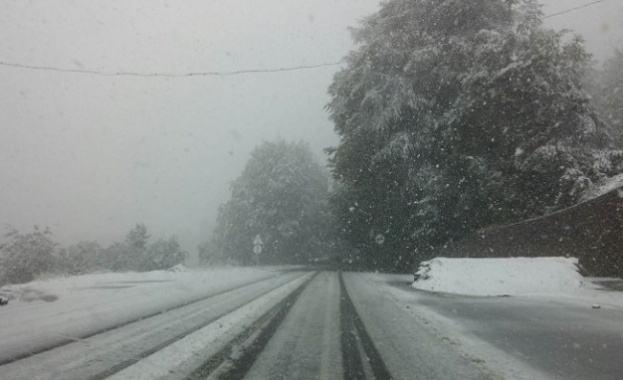 Сняг вали на прохода Петрохан съобщиха за Радио Фокус