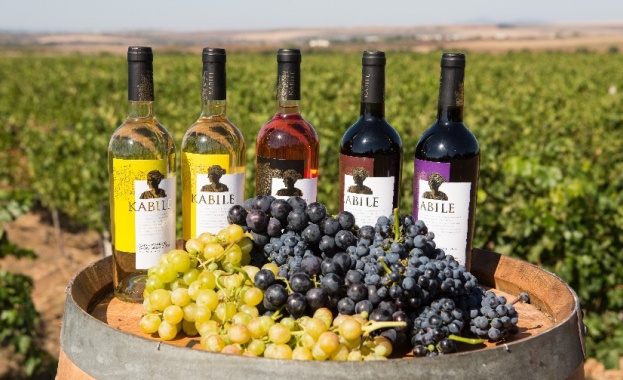 Една от най старите изби в Южна България Вила Ямбол