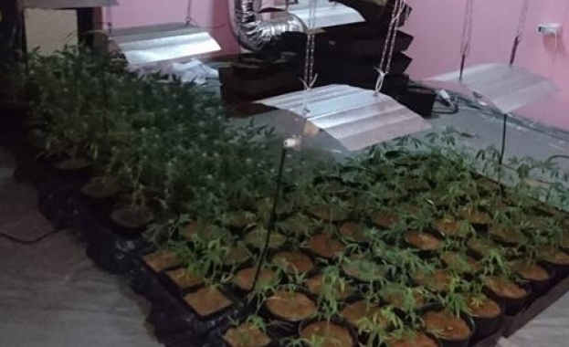 Операцията по противодействие на разпространението на наркотични вещества на територията