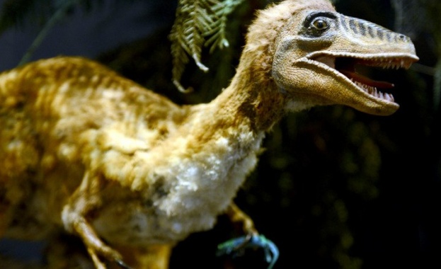 Динозавър с размерите на миеща мечка и покрит с пера