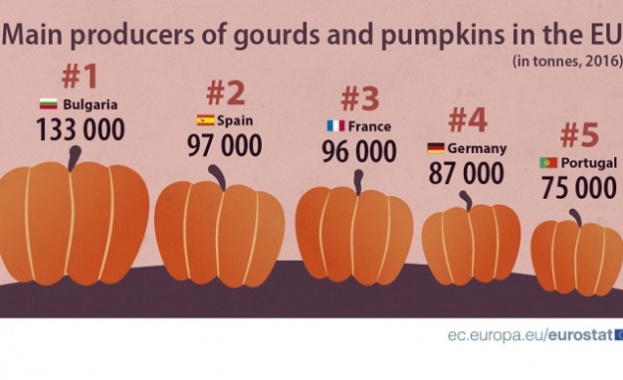 България се оказва най големият производител на тикви в Европейския