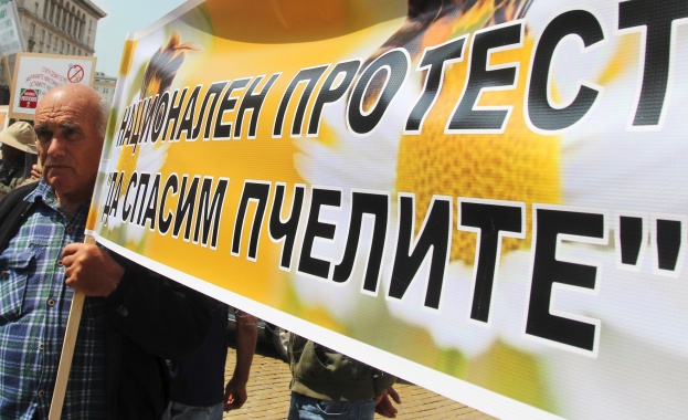 Национален протест на пчеларите се проведе пред Министерството на земеделието