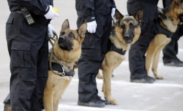 МВР обяви обществена поръчка за закупуване на още 20 кучета