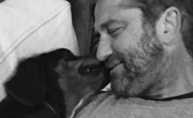 Ирландският актьор Джерард Бътлър осинови българско бездомно кученце Той се